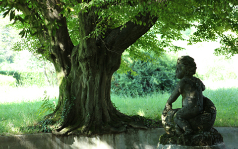 Vendita Cascine Sombreno Bergamo