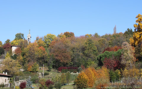 Vendita Cascine Sombreno Bergamo