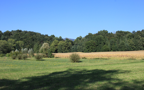 Vendita Cascine Sombreno Bergamo