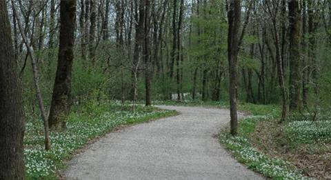 Vendita Cascine Sombreno Bergamo