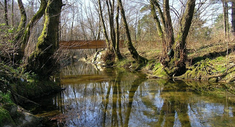 Vendita Cascine Sombreno Bergamo