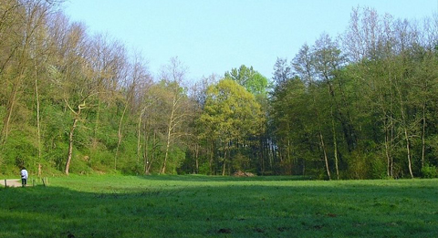 Vendita Cascine Sombreno Bergamo