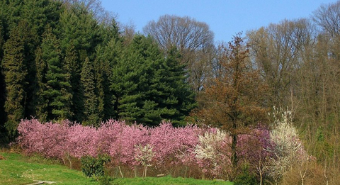 Vendita Cascine Sombreno Bergamo